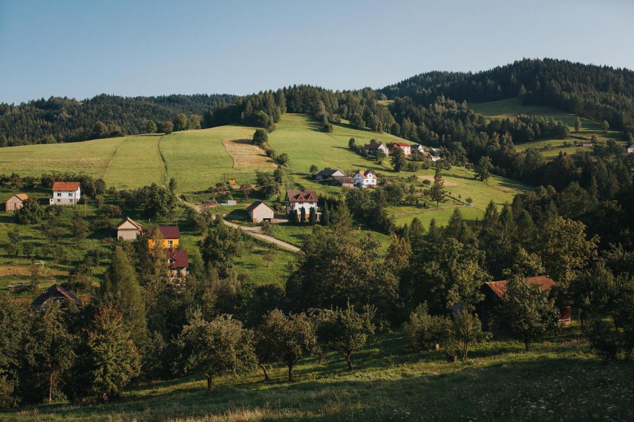 Pasieka - Dom Wypoczynkowy Bacza Kültér fotó